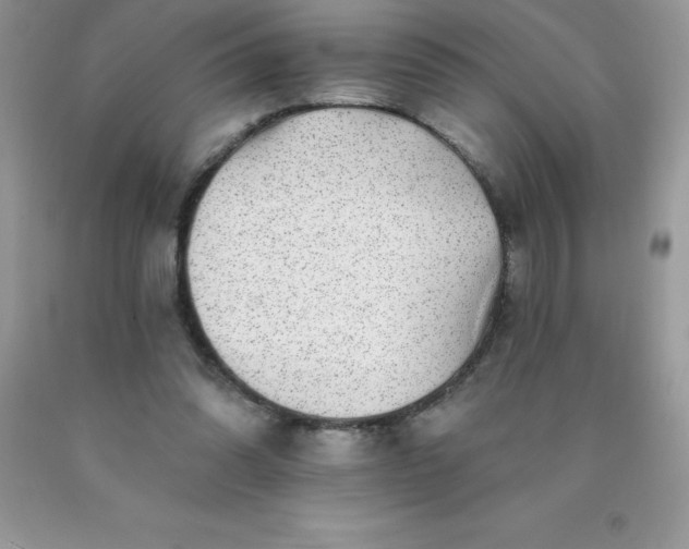 X0000090440302200707272200