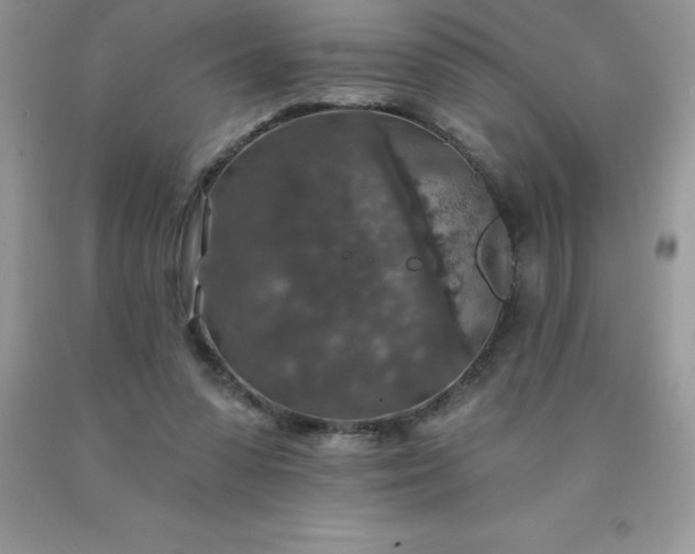 X0000090440303200707272200