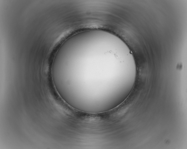 X0000090440304200707272200