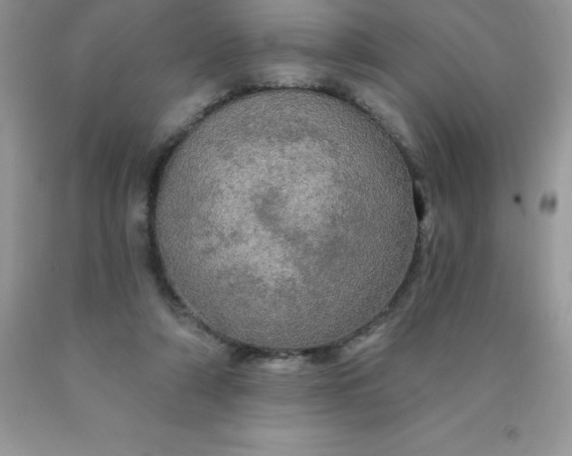 X0000090440306200707272200