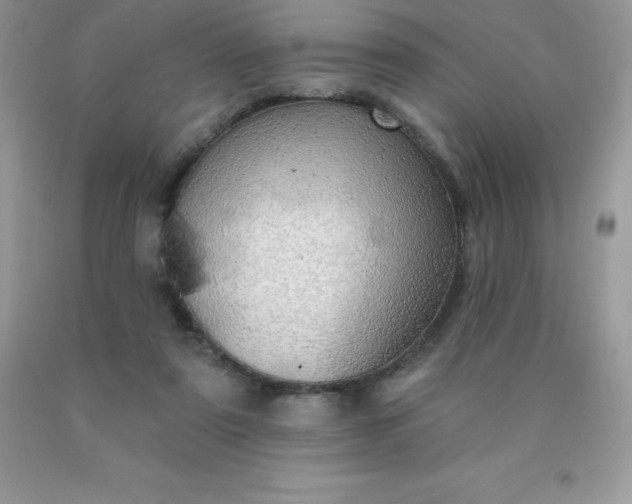 X0000090440307200707272200