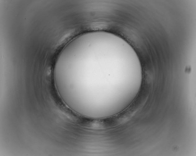 X0000090440308200707272200