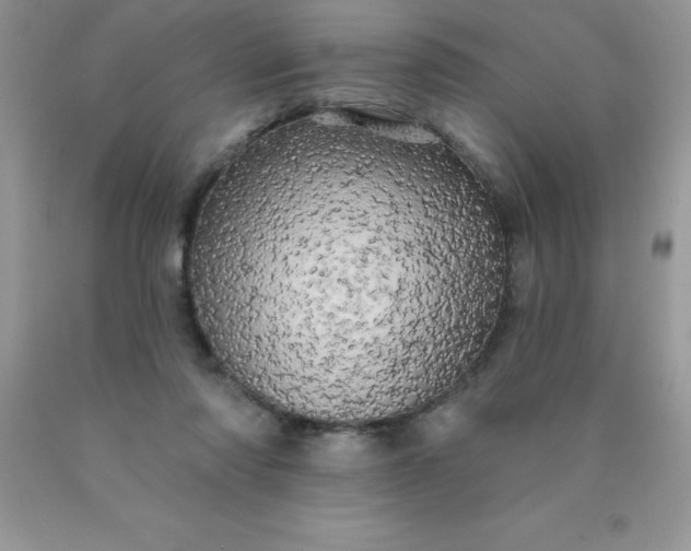 X0000090440310200707272200