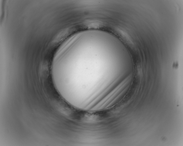 X0000090440311200707272200