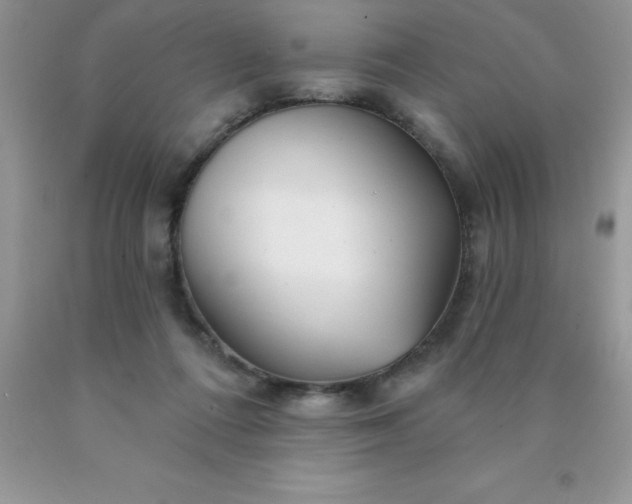 X0000090440312200707272200