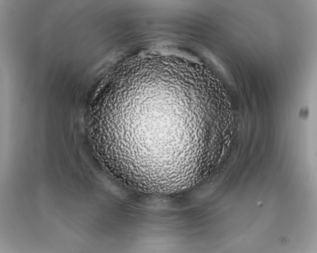 X0000090440313200707272200