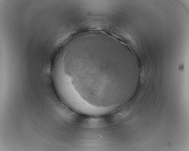 X0000090440314200707272200