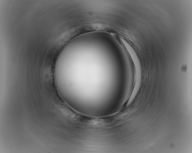 X0000090440317200707272200