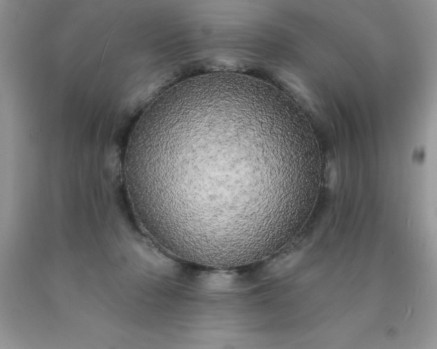 X0000090440318200707272200