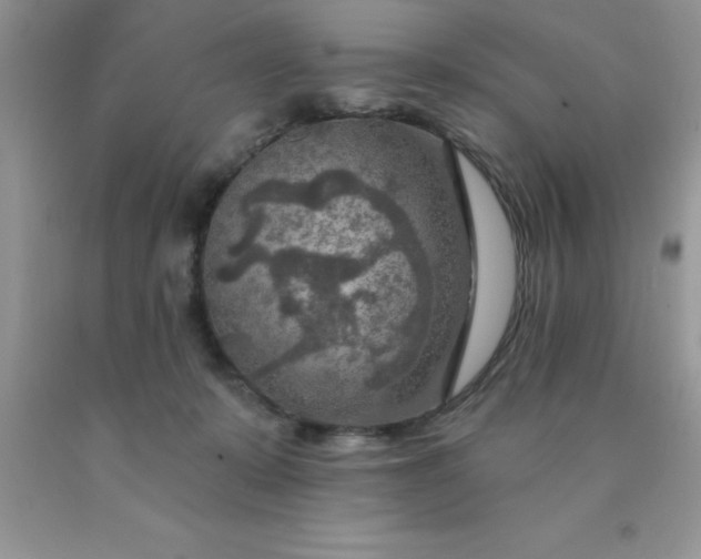 X0000090440319200707272200