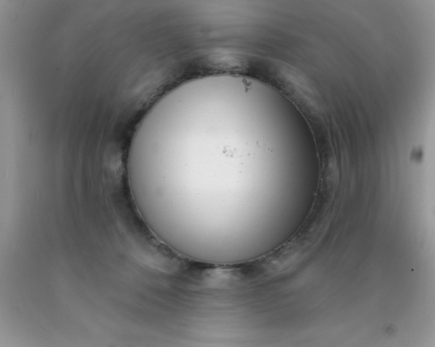 X0000090440320200707272200