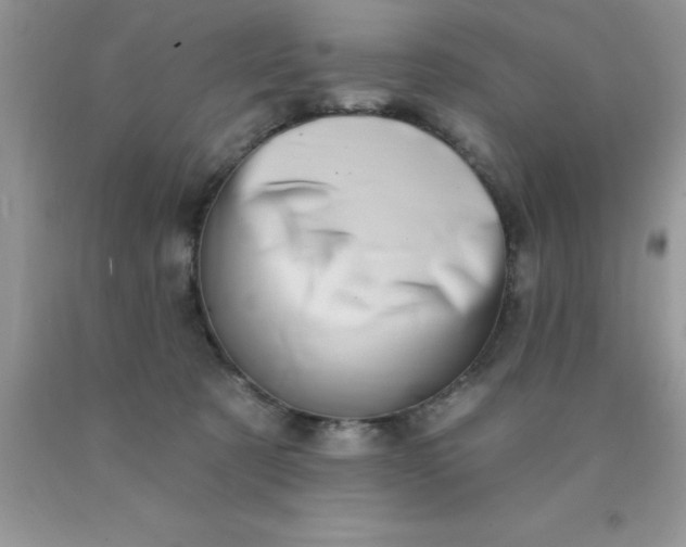 X0000090440321200707272200