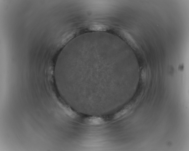 X0000090440322200707272200