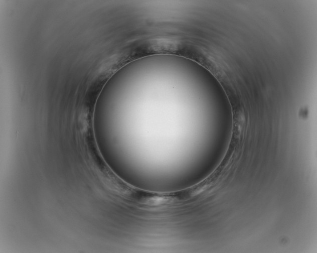 X0000090440323200707272200