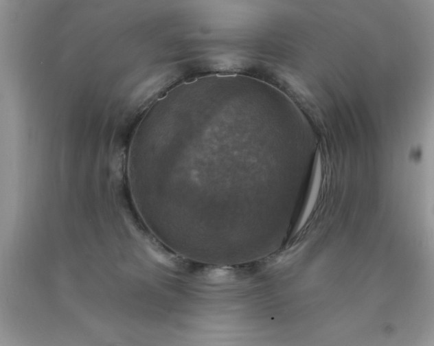 X0000090440325200707272200