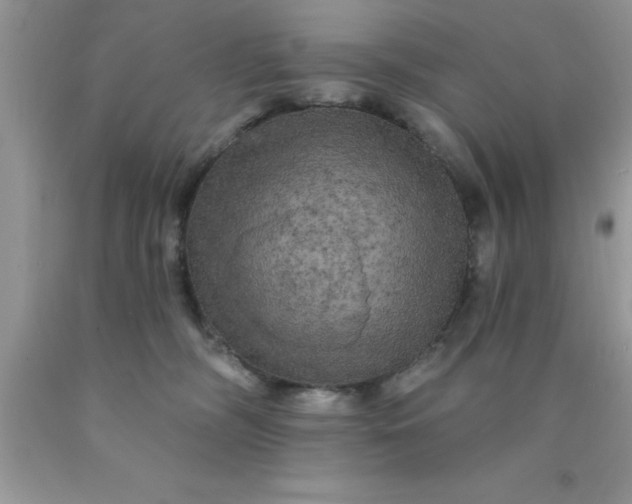 X0000090440326200707272200