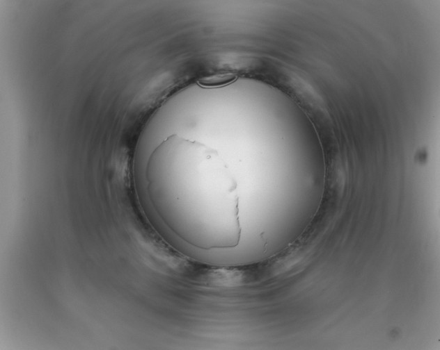 X0000090440328200707272200