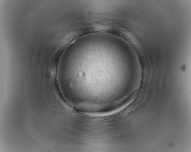 X0000090440329200707272200