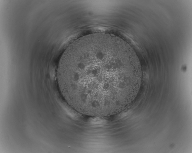 X0000090440331200707272200