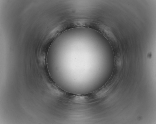 X0000090440332200707272200