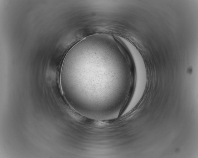 X0000090440333200707272200