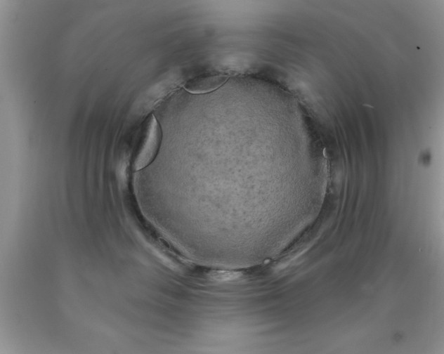 X0000090440334200707272200