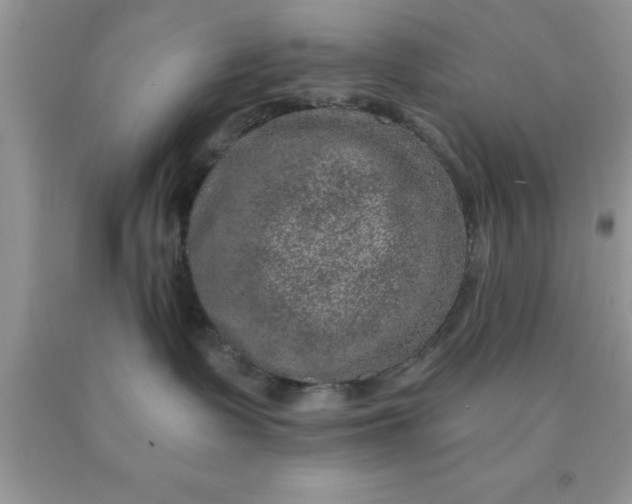 X0000090440335200707272159