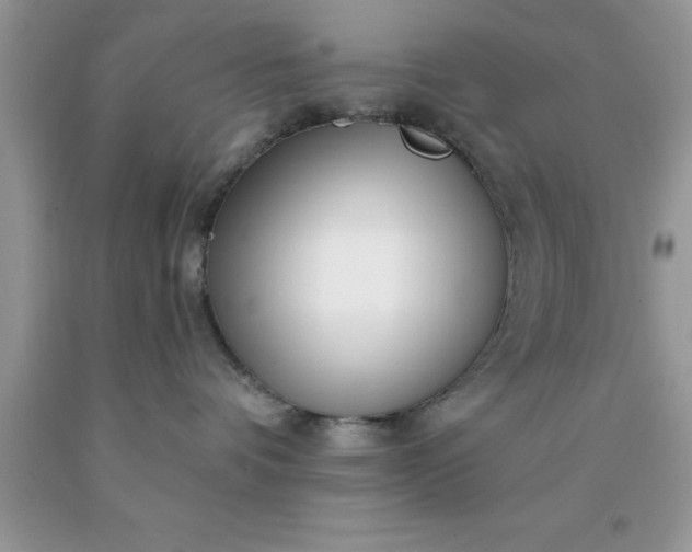 X0000090440336200707272159