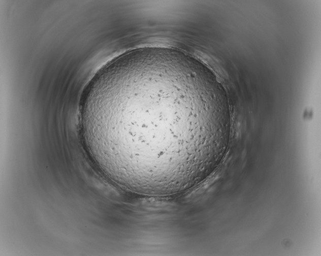 X0000090440338200707272159