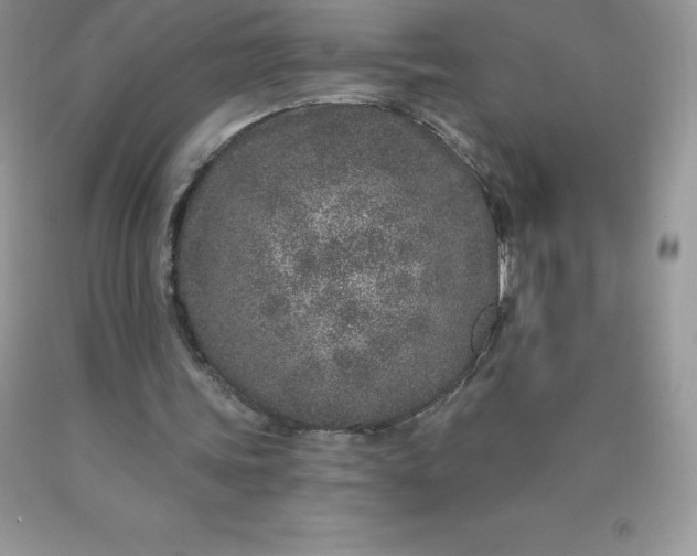 X0000090440339200707272159