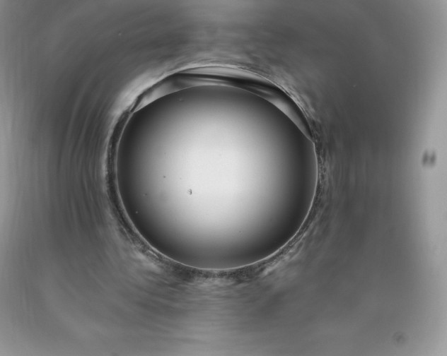 X0000090440340200707272159