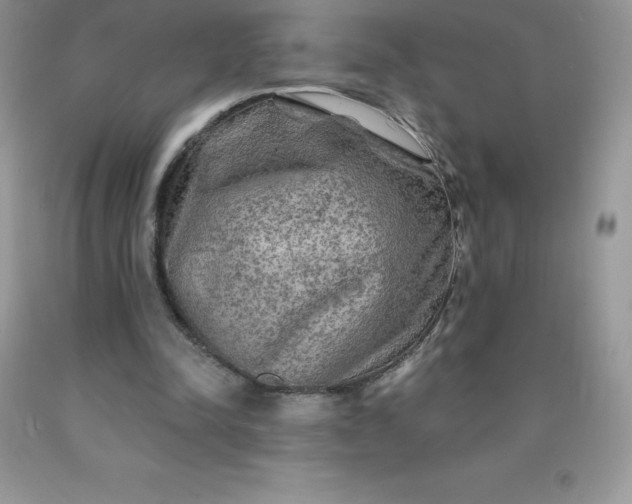 X0000090440342200707272159