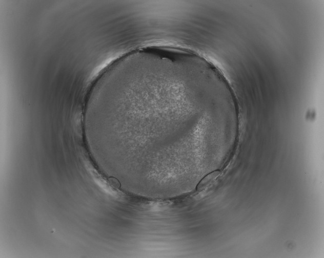 X0000090440345200707272159