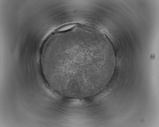 X0000090440347200707272159