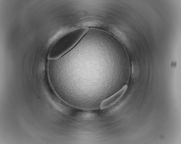 X0000090440348200707272159