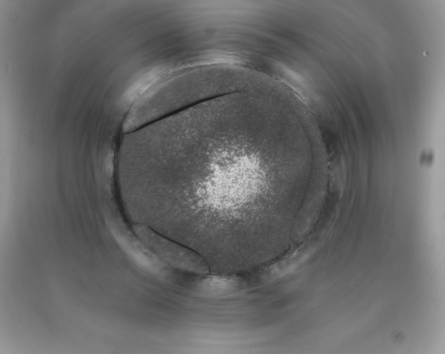 X0000090440350200707272159