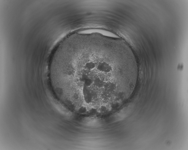 X0000090440351200707272159