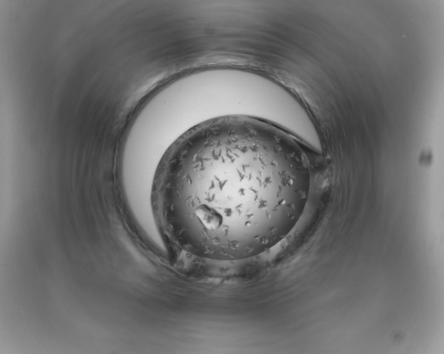 X0000090440352200707272159