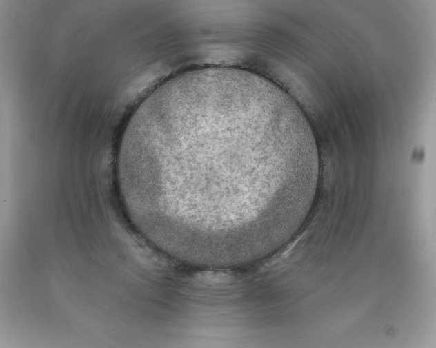 X0000090440354200707272159