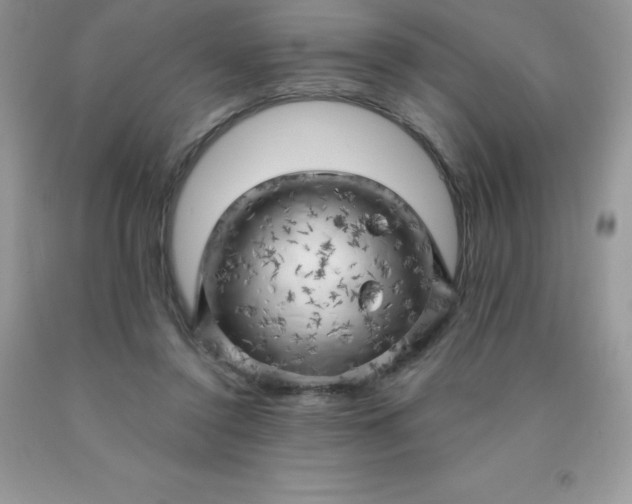 X0000090440356200707272159