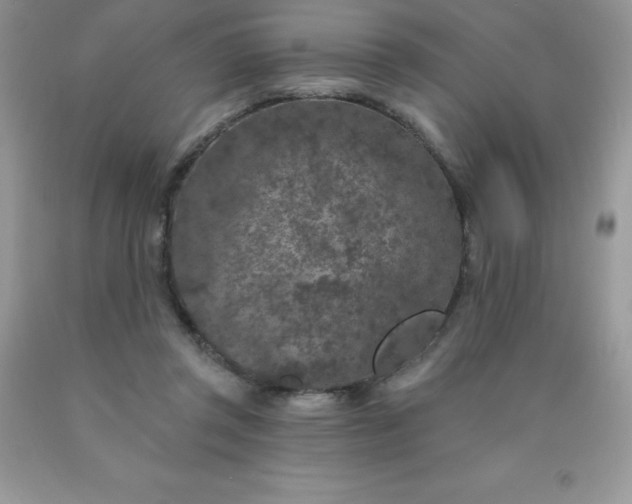 X0000090440357200707272159