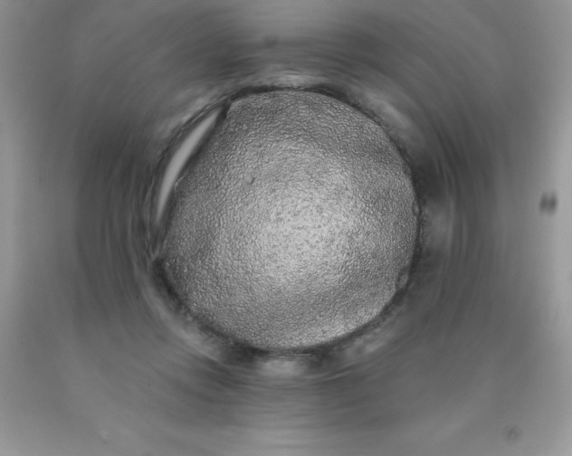 X0000090440358200707272159