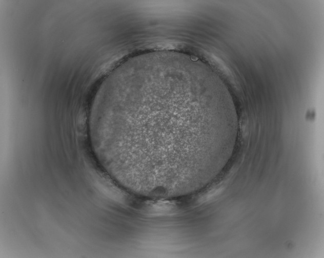 X0000090440359200707272159