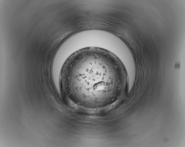 X0000090440360200707272159