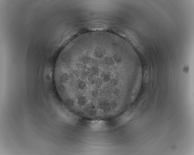 X0000090440363200707272159