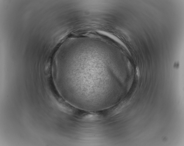 X0000090440364200707272159