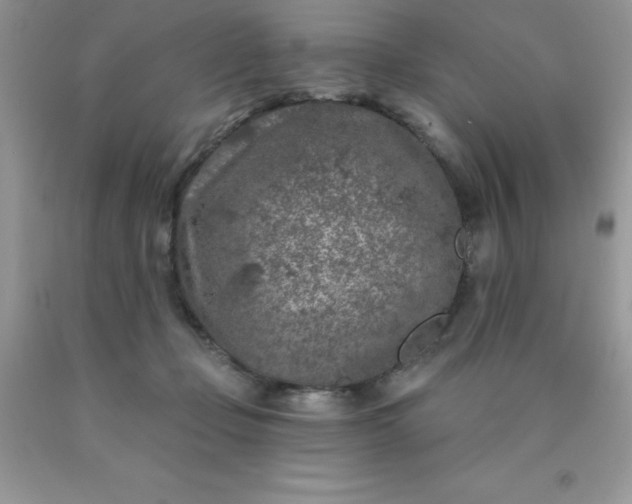 X0000090440365200707272159