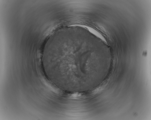 X0000090440366200707272159