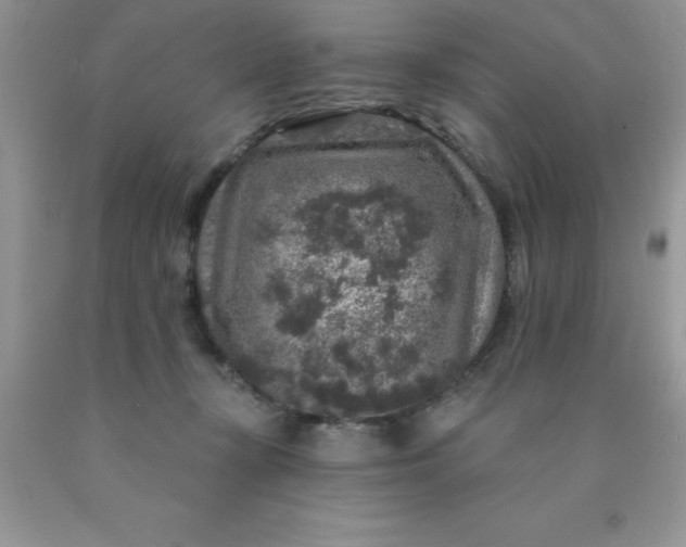 X0000090440367200707272159