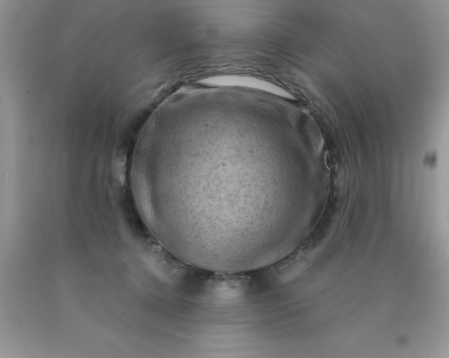 X0000090440368200707272159